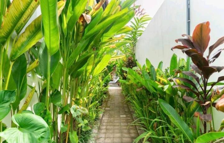 Rendira Villa 2 Ubud Zewnętrze zdjęcie